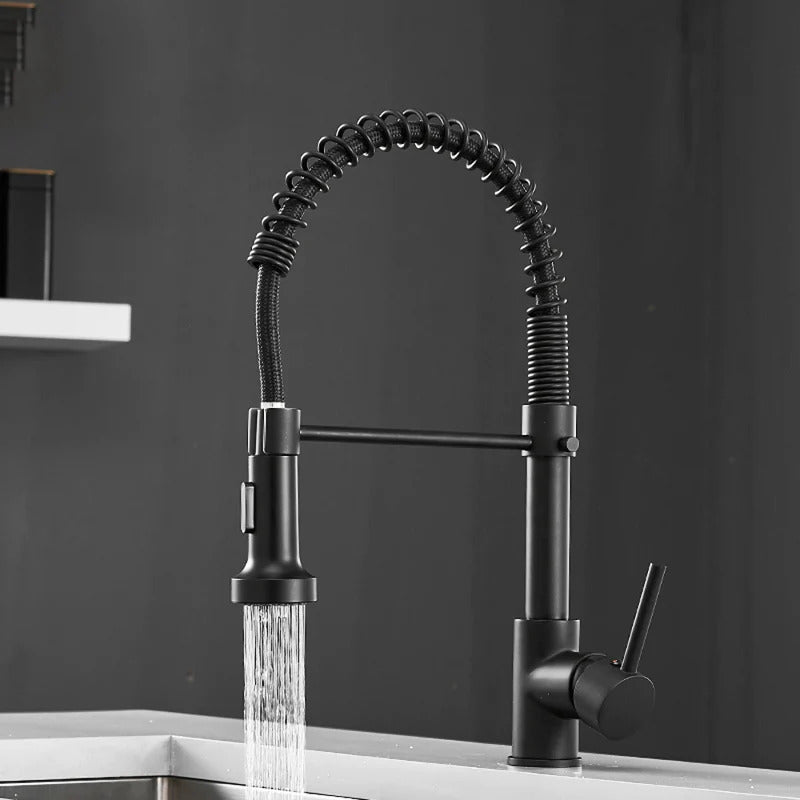 Robinet de cuisine moderne avec pulvérisateur à ressort escamotable