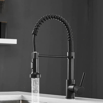 Robinet de cuisine moderne avec pulvérisateur à ressort escamotable