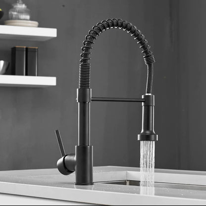 Robinet de cuisine moderne avec pulvérisateur à ressort escamotable
