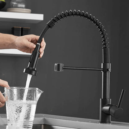 Robinet de cuisine moderne avec pulvérisateur à ressort escamotable