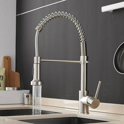 Robinet de cuisine moderne avec pulvérisateur à ressort escamotable