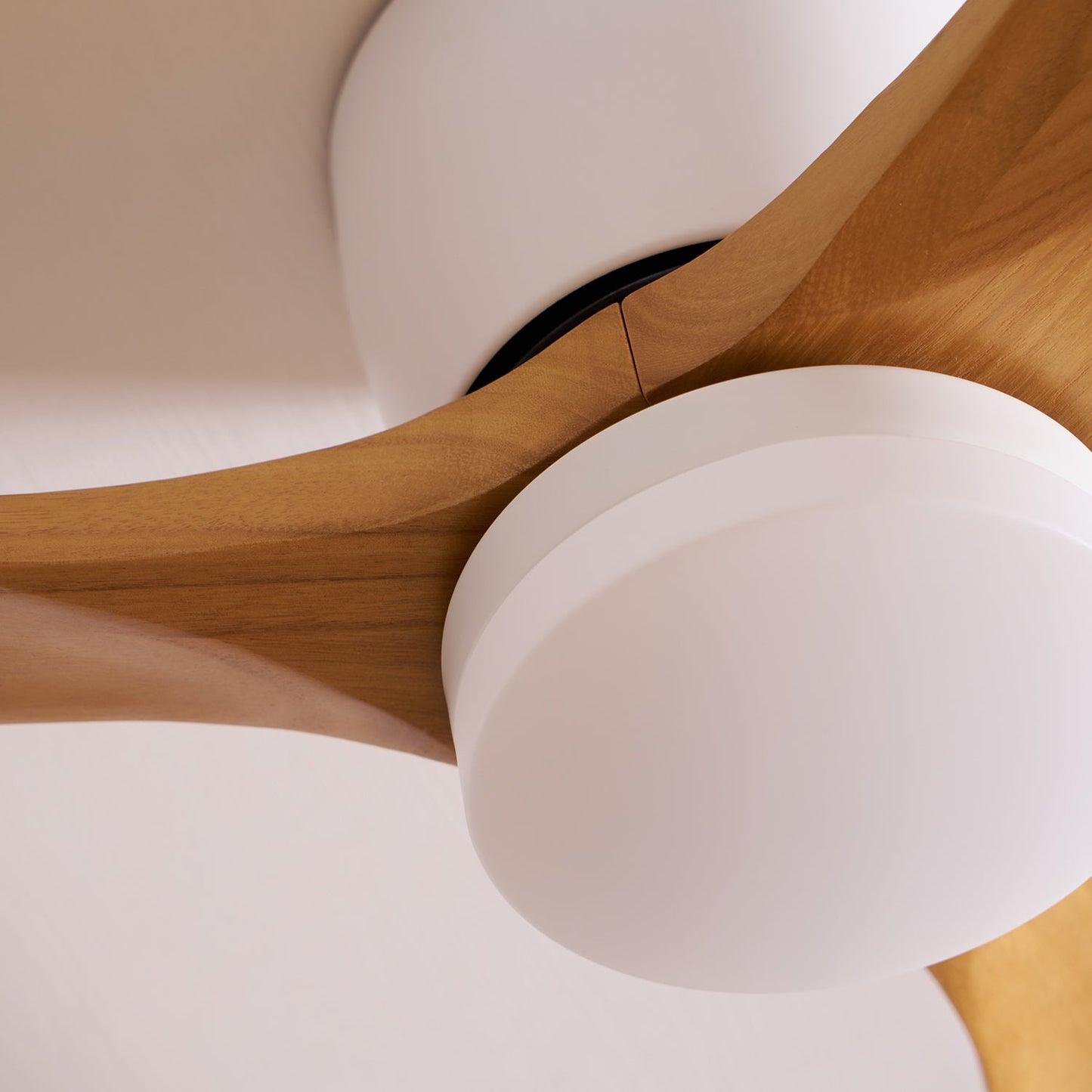 Ventilateur de plafond moderne en bois avec lumière LED