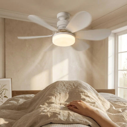 Ventilateur de prise Purry avec lumière